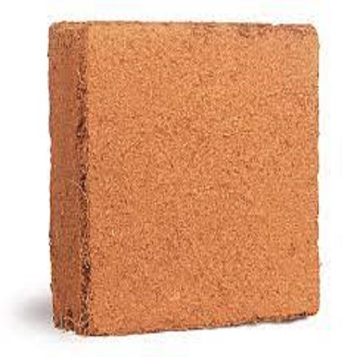 Coco Peat 5Kg